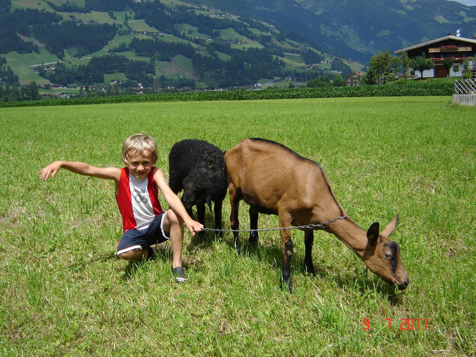 Larchergut Mayrhofen Extérieur photo