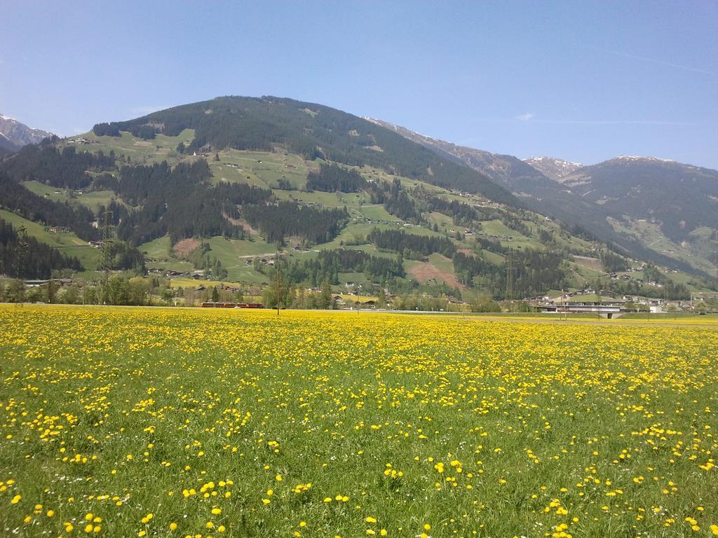 Larchergut Mayrhofen Extérieur photo